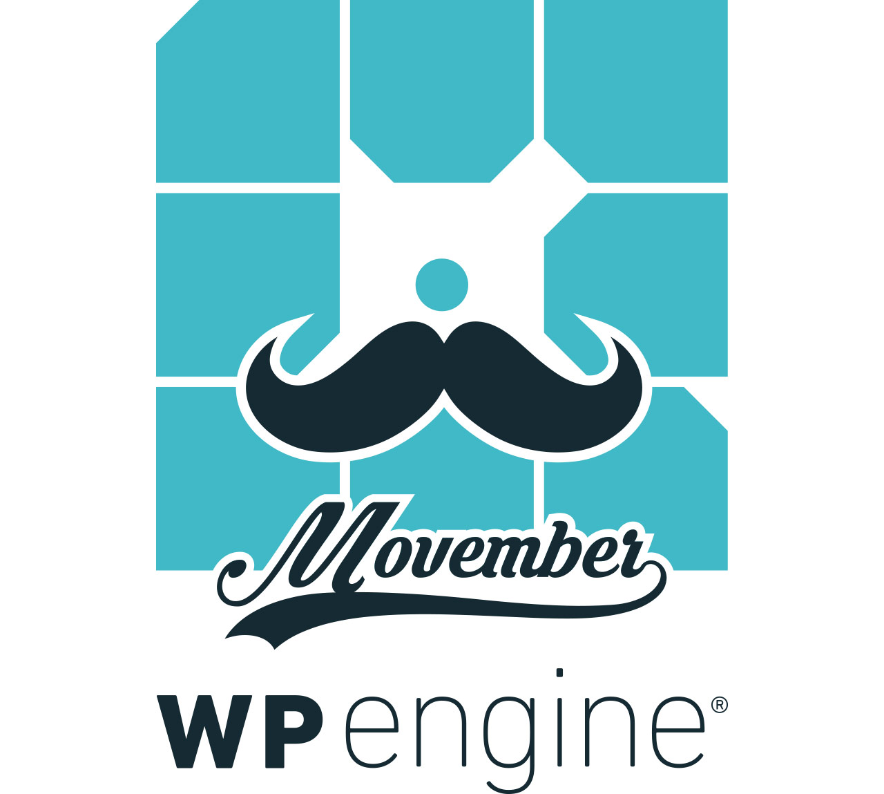 Branded Movember logo